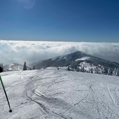 Kopaonik -Beautiful View Apartment- Skiing Exteriér fotografie