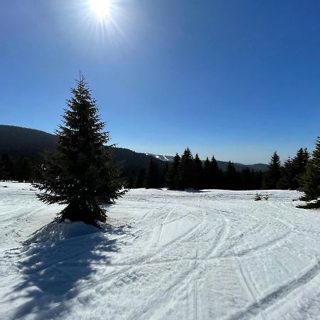 Kopaonik -Beautiful View Apartment- Skiing Exteriér fotografie
