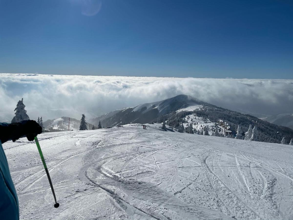 Kopaonik -Beautiful View Apartment- Skiing Exteriér fotografie