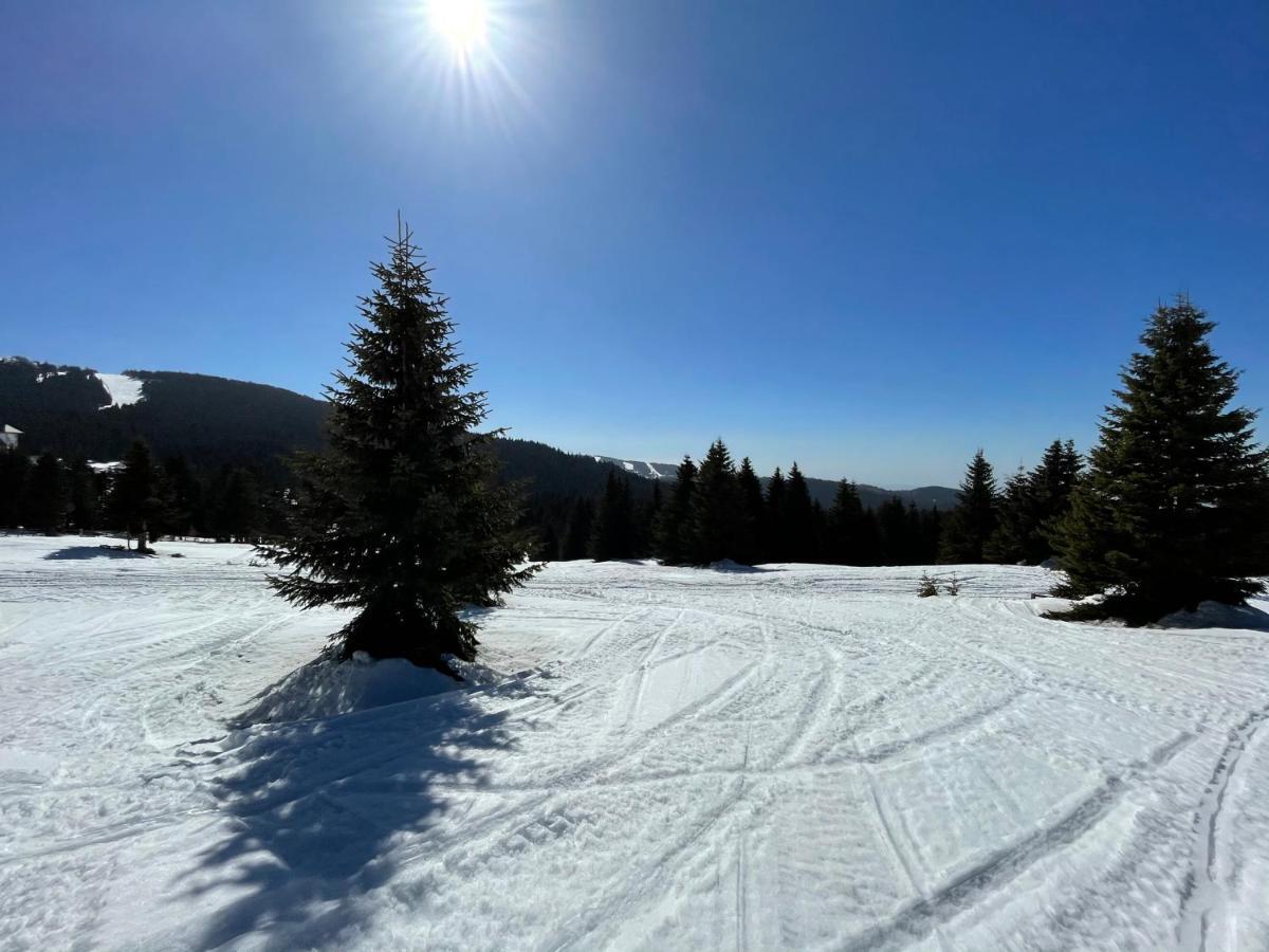 Kopaonik -Beautiful View Apartment- Skiing Exteriér fotografie